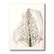 Designart - Vintage White Orchid I - Traditional Canvas Wall Art Print
